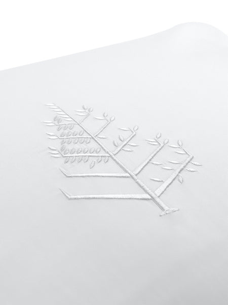 Sleep Collection Front